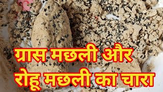 Grass fish and Rohu fish bait || ग्रास मछली और रोहू मछली का चारा || Sundar bihar