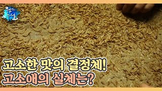 고소한 맛의 결정체! 고소애의 실체는? MBN 210723 방송