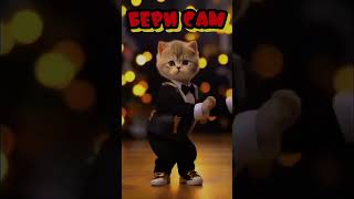 Cute cat video# short# ಕಾಮೆಂಟ್ # ಶೇರ್# ಲೈಕ್ # ಸಬ್ಸ್ಕ್ರೈಬ್ # ಫ್ರೆಂಡ್ಸ್