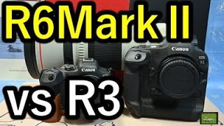 EOS R6 MarkⅡ VS. EOS R3　値上げ直前！どちらを買えば良い？？？