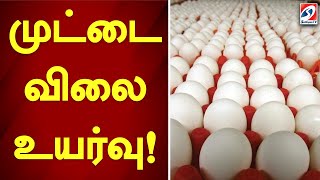 முட்டை விலை உயர்வு! | EGG | price