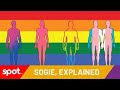 SOGIE, Explained | Spot.ph