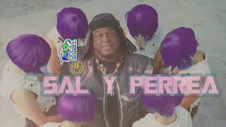 SAL Y PERREA -   RKT  - YANEL DJ  Sech, Daddy Yankee, J Balvin Remix