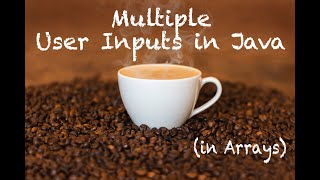 Java: Multiple User inputs in Array