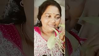 ചേട്ടൻ ആരെങ്കിലും പ്രേമിച്ചിട്ടുണ്ടോ #comedy #subscribe #😂😂#subscribe  my chsnal