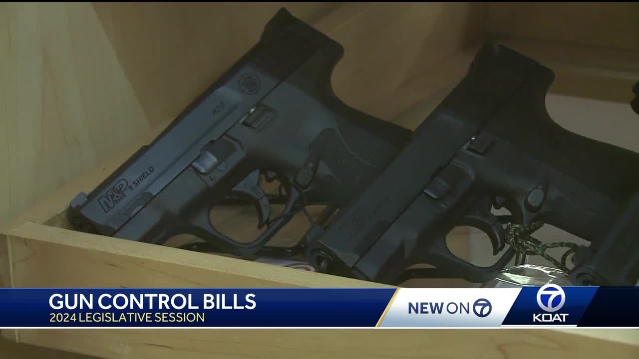 Revised Gun Control Bills Filed For 2024 Legislative Session - YouTube