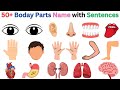 50 Basic Parts of the Body with pictures | English Sentences for Kids |  #kidslearning #bodyparts