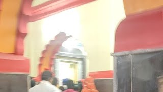 Bastar Dashhera Rath 5din Parikrma