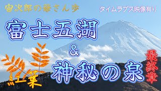 【宙次郎の爺さん歩】富士五湖＋２湖と神秘の泉（最終章）本栖湖・精進湖・西湖・河口湖・山中湖…「 西湖」でやっと「富士山」とご対面。一時はどうなるかと想ったが天は私を見捨てなかった！＃逆走車発見