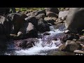 Struggling with insomnia? Find your inner peace. Listen now to calming ASMR river sounds