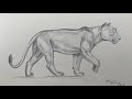 How to draw a lioness