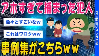 【2ch面白いスレ】元警察官だがアホすぎて捕まった犯人の事例を挙げてくwｗ【ゆっくり解説】