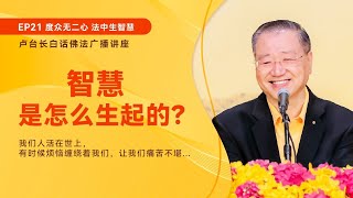 智慧是怎么生起的？｜卢台长白话佛法广播讲座 ｜度众无二心 法中生智慧