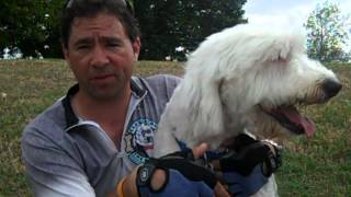 Cloverton The Deaf Dog Interview-Finish of 2012 Bike MS OK