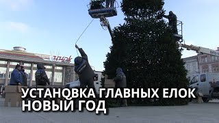 В Саратове началась установка новогодних елок