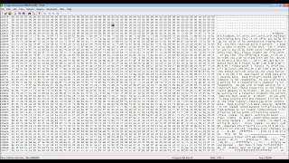 Examination of DOS Game Files With Hex Editor