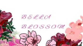 Introduction - Bella Blossom 🌸 ✨✨