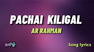 Pachai kiligal tholodu | Indian | AR Rahman | (Song lyrics)in tamil