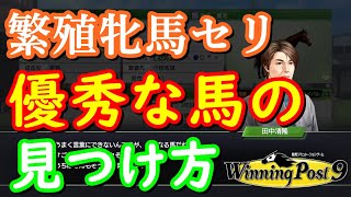 ウイニングポスト9攻略実況 序盤繁殖牝馬セール簡単な選び方 おすすめは？【ウイポ9】