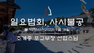 봉은사 일요법회 / 사시불공 (2022.09.18)