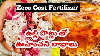 ఉల్లి పొట్టుతో మొక్కలకి ఎన్నో లాభాలు|How to use Onion peel for Plants|Free Fertilizer|Flowers