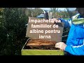 Cum împachetez albinele de iarnă 2019? Și Cum asigurăm o bună ventilație ?