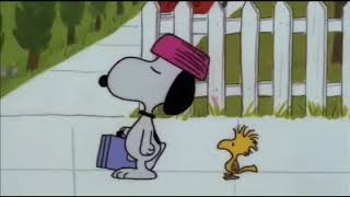 Snoopy - ich und du