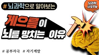 할 일을 미루는 습관이 뇌를 망치는 이유 ㅣ 습관, 게으름, 뇌 과학, 공부자극, 자기계발