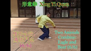 Xingyiquan: Two Animals Combine: Eagle and Bear (6/6) 形意拳：雙形合演之六 鷹熊鬥志