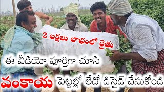 లలిత వంకాయ 20 కోతలు గ్యారంటీ.క్వాలిటీ షైనింగ్ అదరహో. lalitha brinjal cultivation\u0026koyambedu marketing