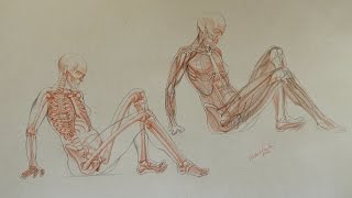 How to Draw Female Body - Anatomy Master Class