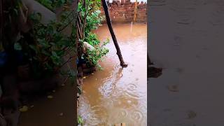 କି ବର୍ଷା ଲୋ ମାଆ #rain #youtubeshorts #odisha #mayurbhanj