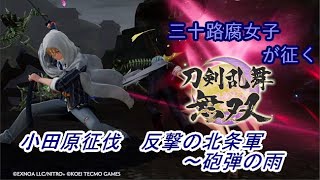 【ネタバレ有り】ドブ川のほとりで刀剣乱舞無双実況　part7