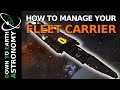 [FLEET CARRIER BETA 1] - How To Manage Your Fleet Carrier BETA 1 | Elite Dangerous