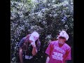 $uicideboy$ mount sinai alternative version prod. jame$ file$