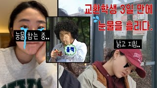 [🇩🇪독일 교환학생] ep.2 입독 3일 만에 눈물을 흘려버림..🥹 l 매일매일 살림살이 장만, 외국인 버디와의 만남, 핸드폰 개통, 교환학생 OT❗️