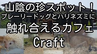 山陰の珍スポット！ 島根県安来市 Cafe Restaurant Craft ハリネズミ等の動物と触れ合えるカフェ