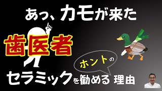 歯科業者（EPARK歯科etc）に食い物にされる歯医者、そしてその犠牲になる患者さん