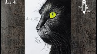 Time lapse Drawing | Pencil Drawing || Realistic Cat drawing || Jia's Art
