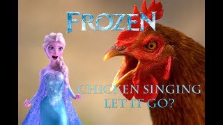 Chicken Singing \