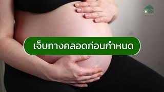 สามารถมีเพศสัมพันธ์ในระหว่างตั้งครรภ์ได้ไหม