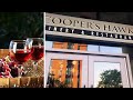 Coopers Hawk vlog