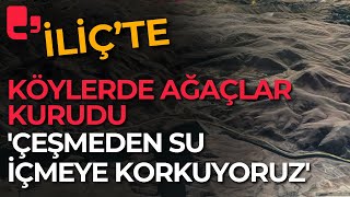 İliç'in köylerinde ağaçlar kurudu: 'Çeşmeden su içmeye korkuyoruz'