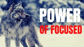 Power Of Focused (TD Jakes, Jim Rohn, Jordan Peterson, Tony Robbins) Powerful Motivational Speech