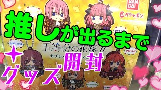 ５種だしすぐ推し出るよね！【五等分の花嫁 カプセルラバーマスコット９】＋新商品グッズ開封でも出てくれ…さい