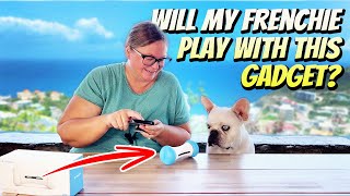 Unleash Your Dog's Joy with the Wickedbone Interactive Toy