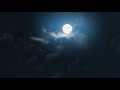 Deep Relaxing Sleep Music And Night Nature Sounds: Under the Beautiful Moon