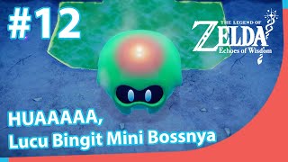 Yuk Selamatkan Big Brothernya!!!  | The Legend of Zelda: Echoes of Wisdom | Part 12