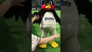 ⚾6.12つば九郎⚾#つば九郎 #東京ヤクルトスワローズ #swallows #short