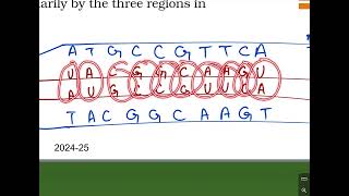 Lecture 3 molecular Genetics